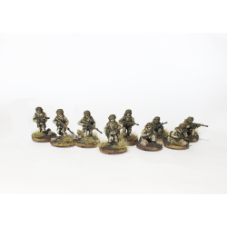 Cold War Argentinian Infantry Squad