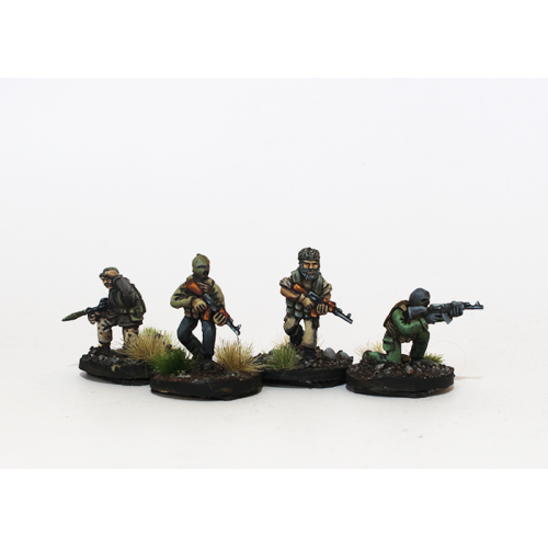 Insurgent Cell with Leader Insurgent Cell with Leader