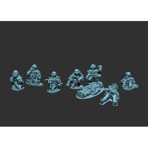 British Support and Casualties