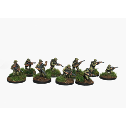 Australian Infantry Section