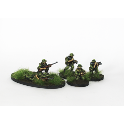 ANZAC Support Weapons